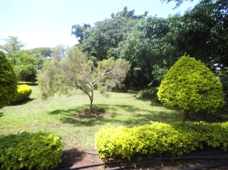 4 bedroom Farmhouse in Mapepe for rent