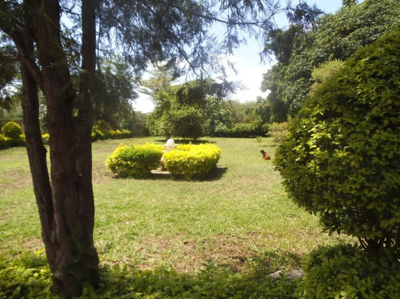 4 bedroom Farmhouse in Mapepe for rent