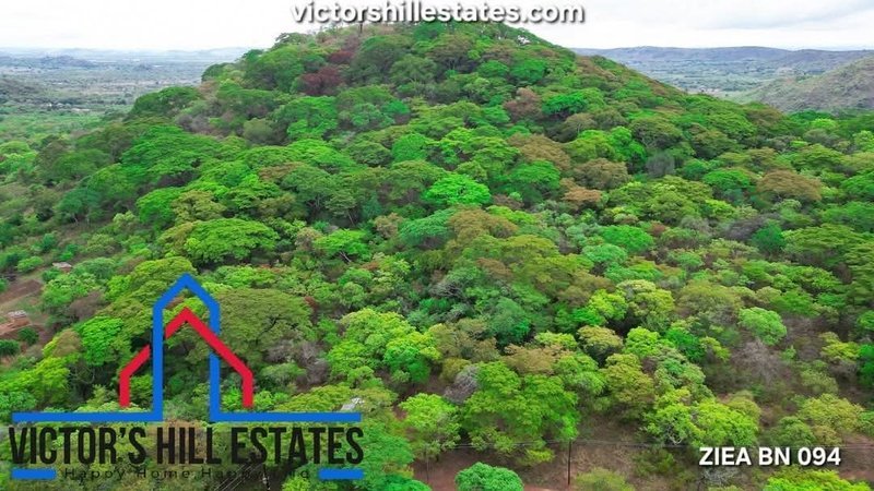 65 acre plot for sale