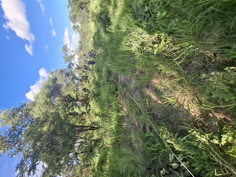 Land