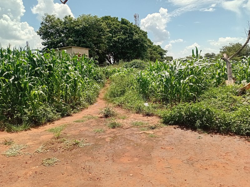 FENCED LAND FOR SALE IN LILAYI