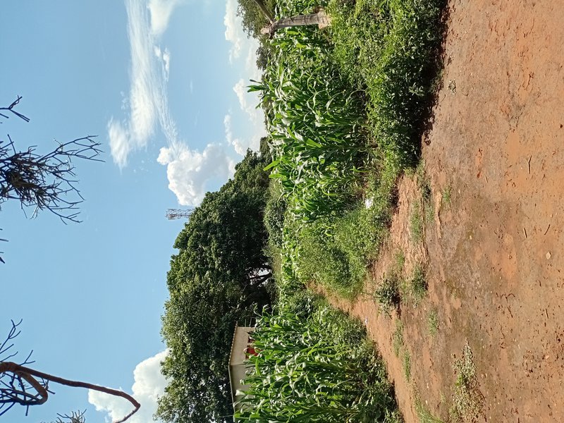 FENCED LAND FOR SALE IN LILAYI