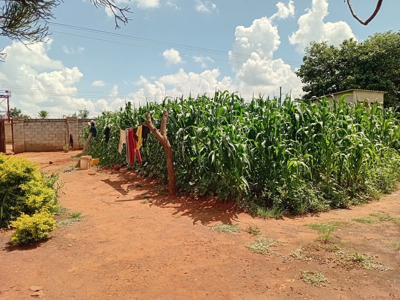 FENCED LAND FOR SALE IN LILAYI
