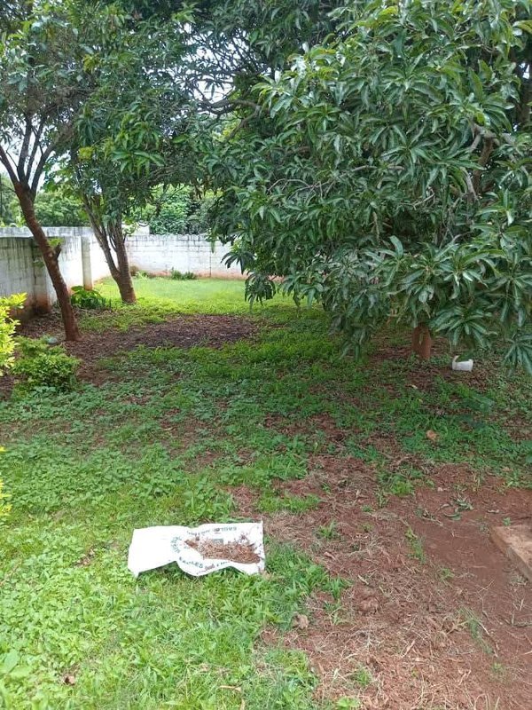 PROPERTY FOR SALE IN AVONDALE