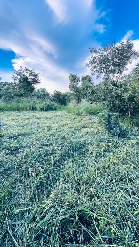 FULLY ENCLOSED PLOT FOR SALE IN CHALALA NEAR ORYX