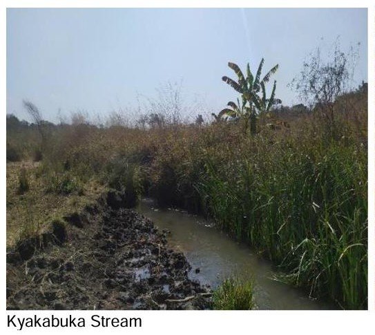 555 Acres Titled Land in Kalumbila  for Sale