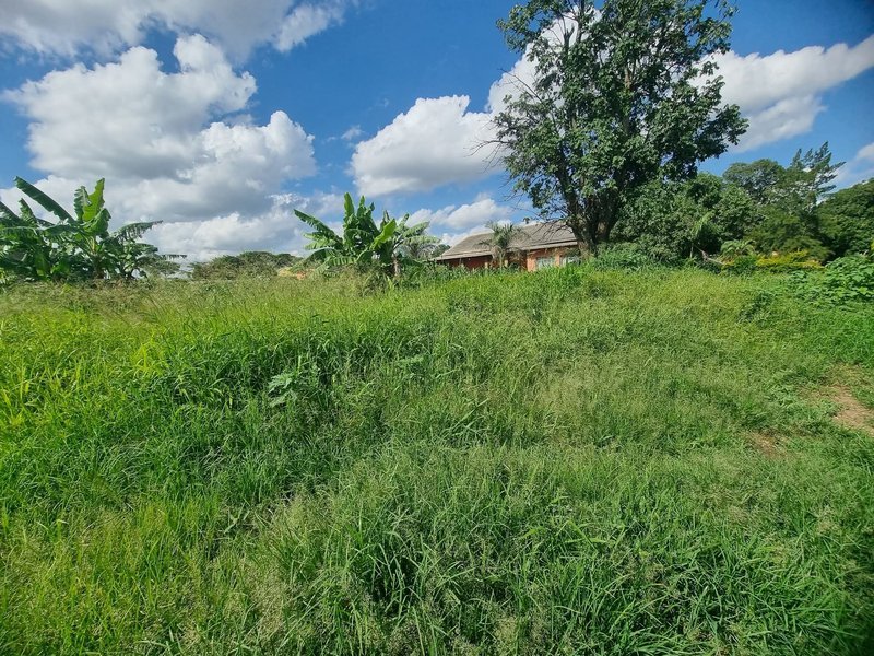 17 by 40 plot for sale