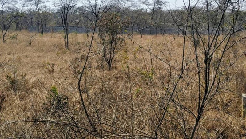 NEW KASAMA AREA|PLOTS FOR SAL€| 900sqm (30 by 30)| K650,000‎