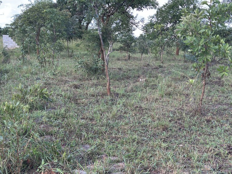 Mikango Prime Residential land