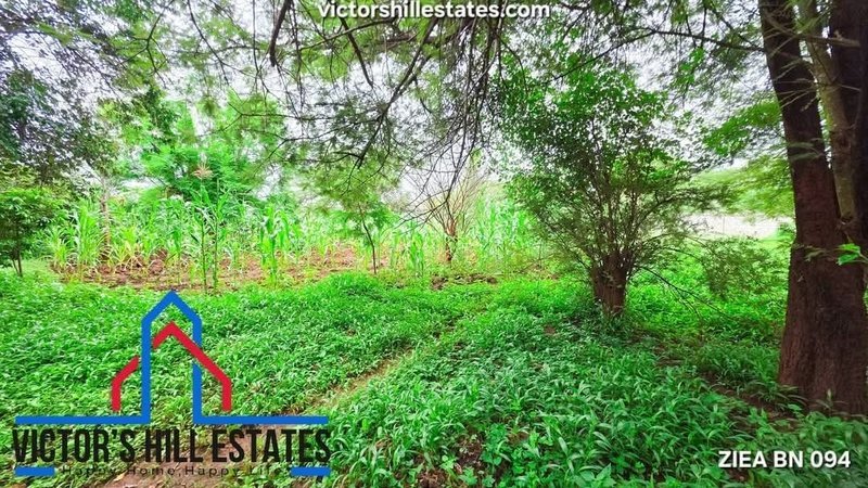 54 by 22 plot for sale