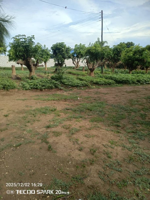 2.1 Acres Prime land for Sale in MAKENI near BAYUNI SCHOOLS.