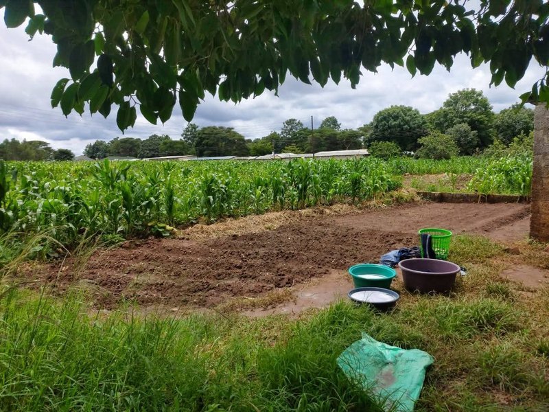 2.5 Acres For Sale, Lilyai