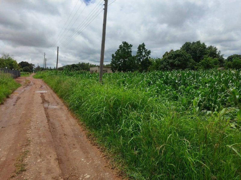 2.5 Acres For Sale, Lilyai