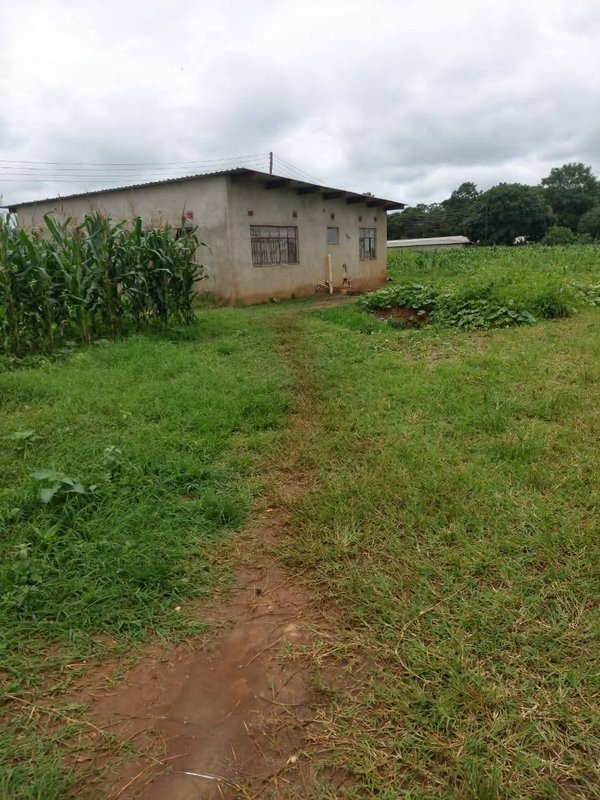 2.5 Acres For Sale, Lilyai