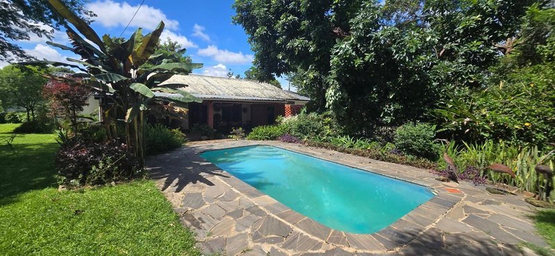 Five Bedroom House, Olympia