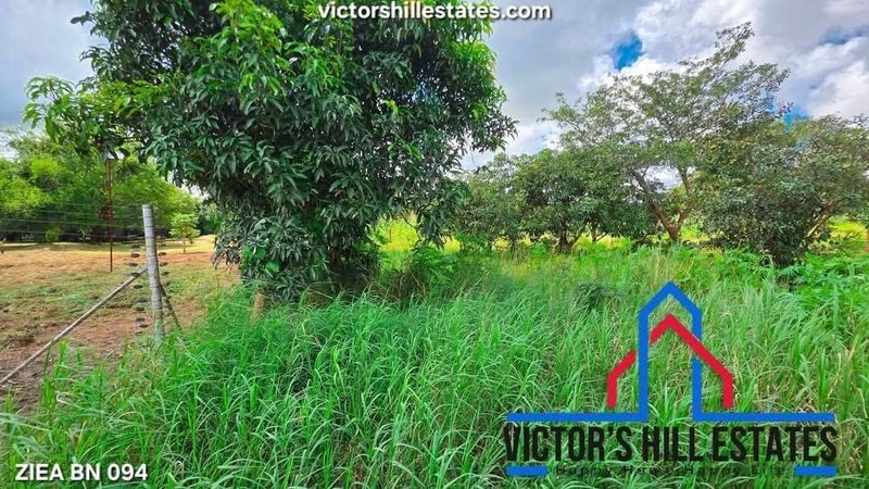 3 acre land for sale