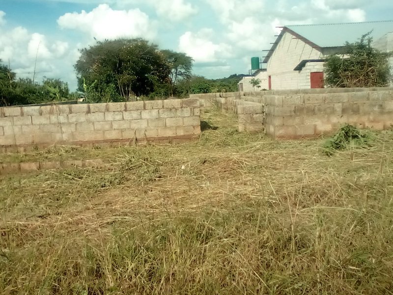 30 by 16 plot for sale in Foxdale