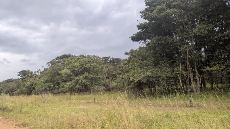 55 ACRES LAND IN NGWERERE