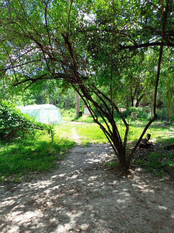 farm 1300 hectares