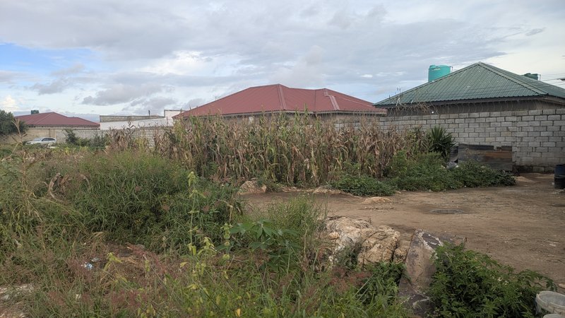 CHALALA PLOT NEAR PS MALL 65MX40M