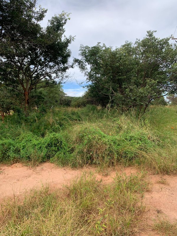 50 by 50 plot in 6 miles