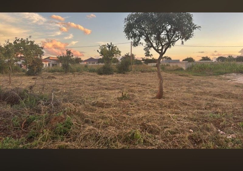 PLOTS FOR SALE - NEW KASAMA