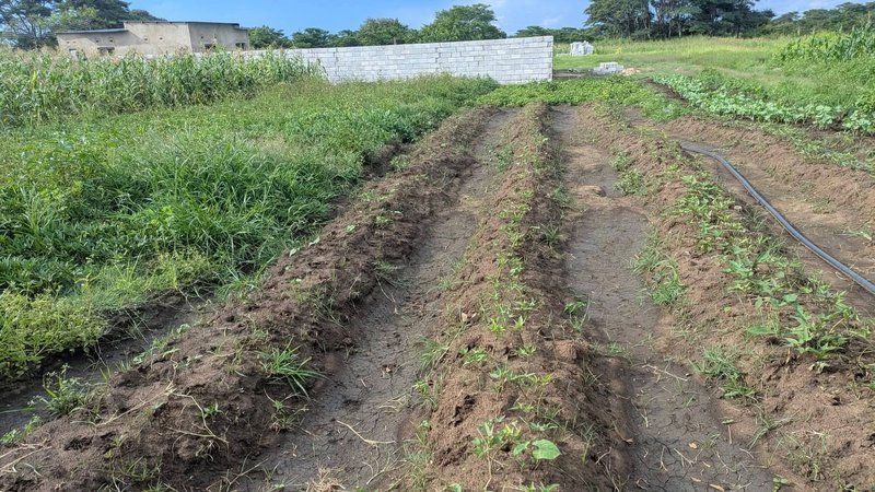 PLOTS FOR SALE IN NGWERERE ON TITLE