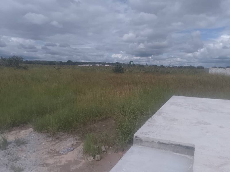 PLOTS FOR SALE IN NGWERERE ON TITLE