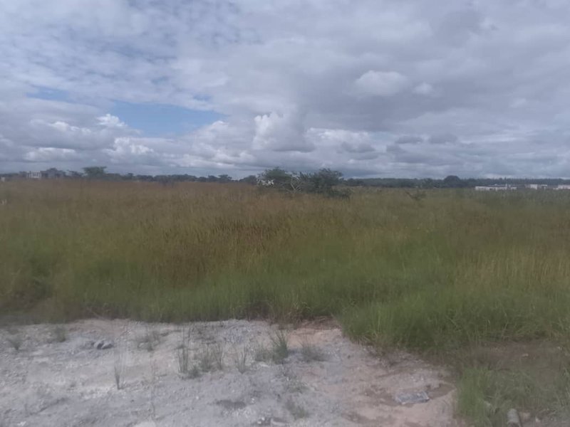 PLOTS FOR SALE IN NGWERERE ON TITLE