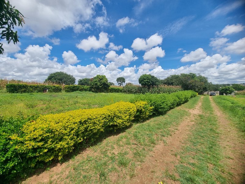 residential plots for sale