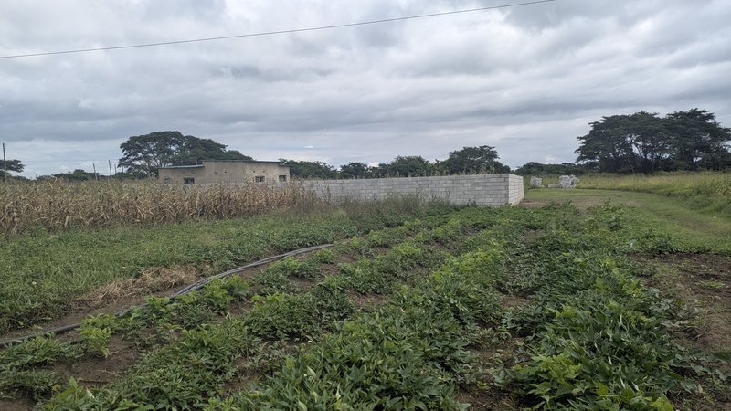 NGWERERE PLOT 30MX30M