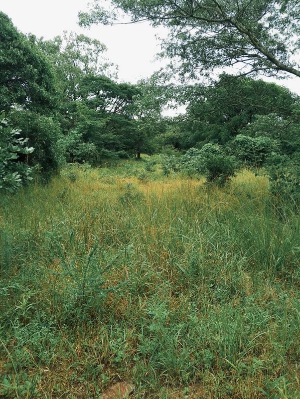 5.2 ACRES LAND IN ROAN PARK NGWERERE