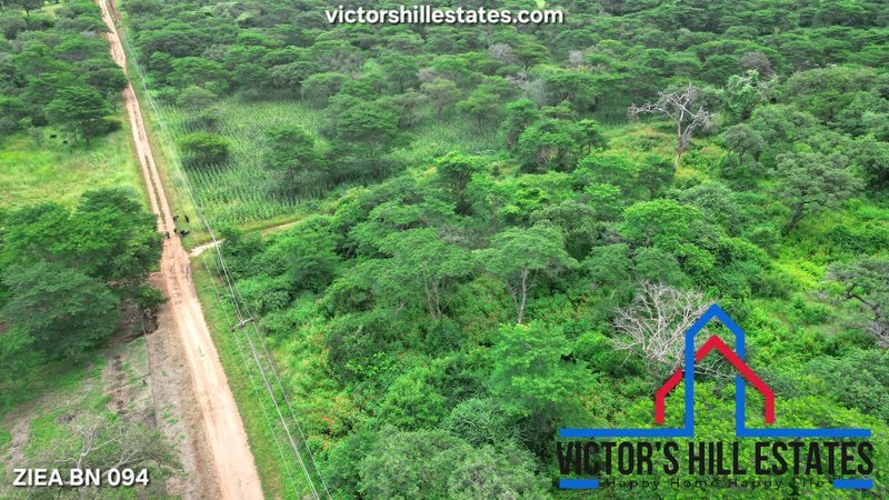 5 acre plot
