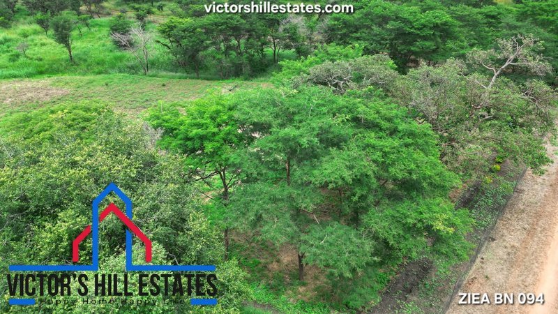 5 acre plot