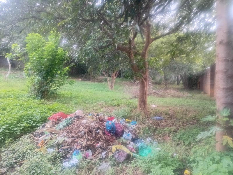 An old house sitting on 3000 square metres on Mukuyu Crescent off Central Street