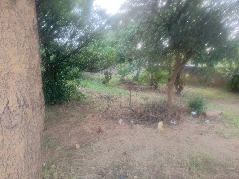 An old house sitting on 3000 square metres on Mukuyu Crescent off Central Street