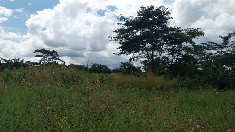 Road front plot for sale