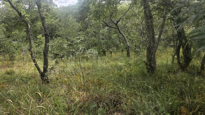 11 acre land for sale
