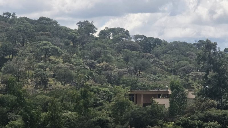 11 acre land for sale