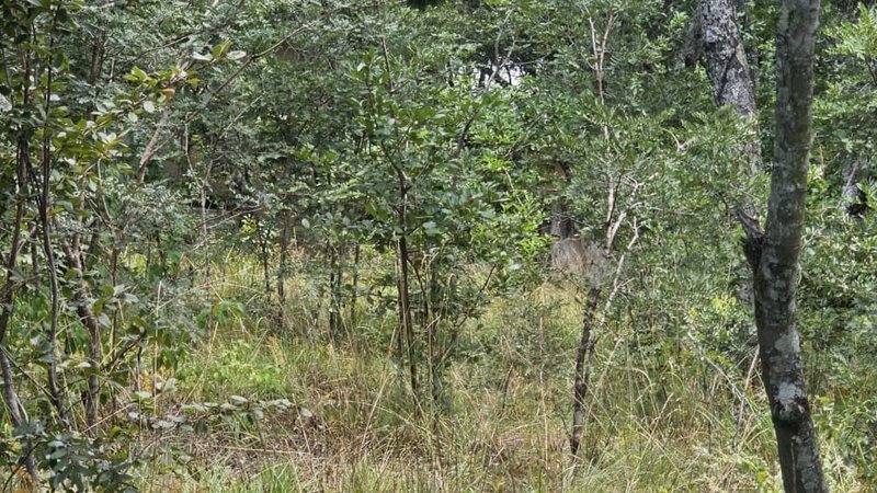 11 acre land for sale