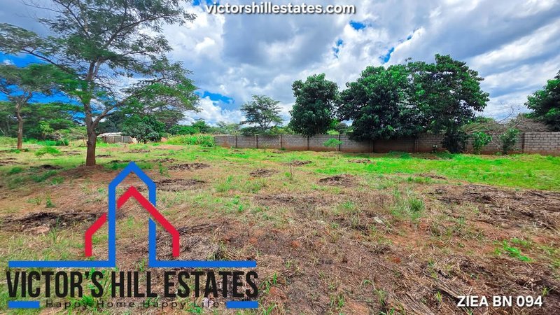 📍 1000sqm PLOTS FOR SALE IN NEW KASAMA LEOPARDS HILL RD NEAR THE VILLAGE
