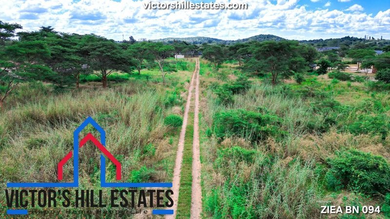 📍 1000sqm PLOTS FOR SALE IN NEW KASAMA LEOPARDS HILL RD NEAR THE VILLAGE