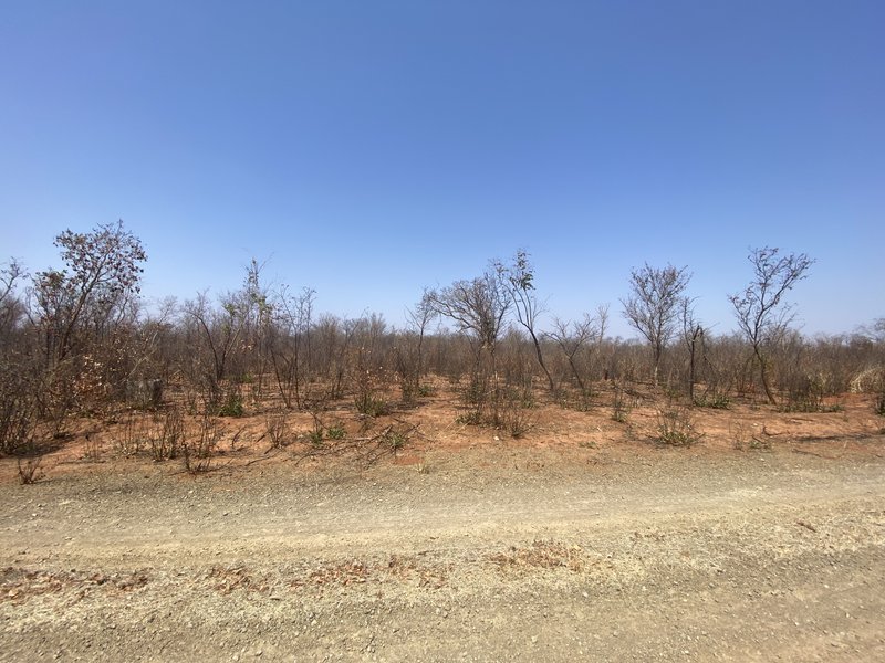 Parkview plot