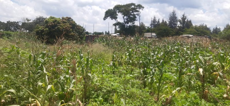 land for sale in chilanga
