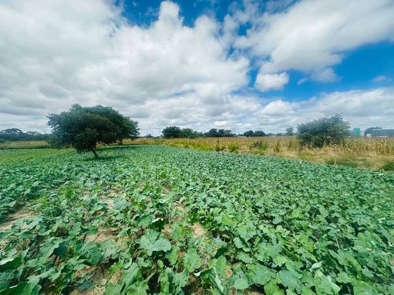 Residential plots for sale