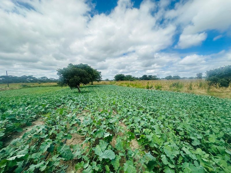 Residential plots for sale