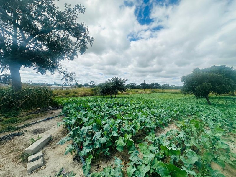 Residential plots for sale