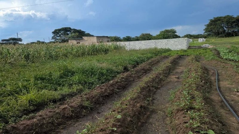 PLOTS FOR SALE IN NGWERERE 20MX30M TO 5 ACRES AVAILABLE