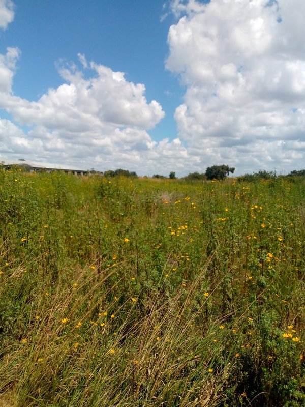 10 miles plots for sale