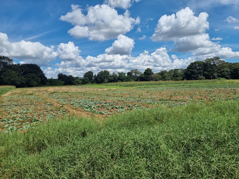 7 acre Traditional land